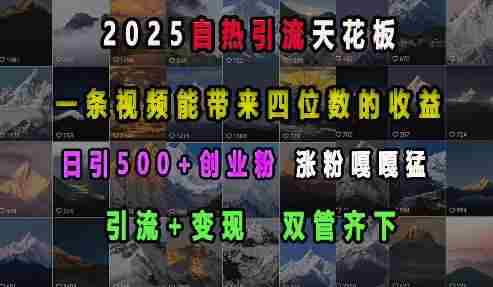 2025自热引流天花板，一条视频能带来四位数的收益，引流+变现双管齐下，日引500+创业粉，涨粉嘎嘎猛