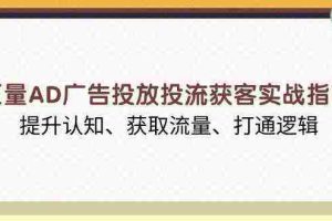 巨量AD广告投放投流获客实战指南，提升认知、获取流量、打通逻辑