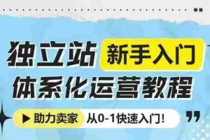独立站新手入门体系化运营教程，助力独立站卖家从0-1快速入门!