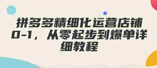 拼多多精细化运营店铺0-1，从零起步到爆单详细教程