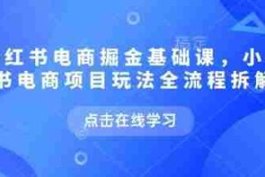 小红书电商掘金课，小红书电商项目玩法全流程拆解