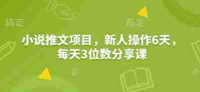 小说推文项目，新人操作6天，每天3位数分享课