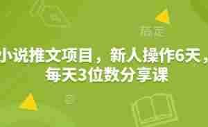 小说推文项目，新人操作6天，每天3位数分享课