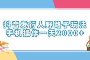 （14041期）抖音发行人野路子玩法，手机操作一天2000+