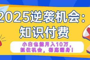 （14166期）2025逆袭项目——知识付费，小白也能月入10万年入百万，抓住机会彻底翻…