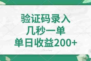 （14221期）验证码录入，几秒一单，单日收益200+