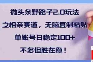 （14334期）微头条野路子2.0玩法之相亲赛道，无脑搬砖复制粘贴，单账号日稳定300+…