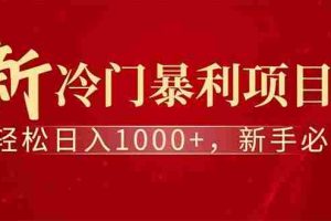 （14495期）全新项目，每天被动收益1000+，长期管道收益！