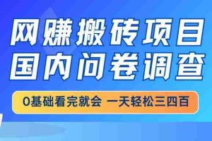 （14578期）网赚搬砖项目，国内问卷调查，0基础看完就会 一天轻松三四百，靠谱副业…