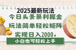 （14120期）今日头条2025最新玩法，思路简单，复制粘贴，轻松实现矩阵日入2000+
