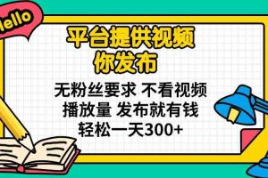 （14171期）平台提供视频 你发布 无粉丝要求 不看视频播放量 发布就有钱 轻松一天300+
