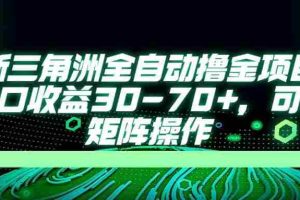 （14191期）最新三角洲全自动撸金项目，单窗口收益30-70+，可批量矩阵操作