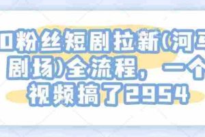 0粉丝短剧拉新(河马剧场)全流程，一个视频搞了2954