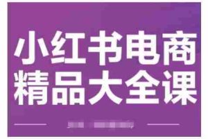 小红书电商精品大全课，快速掌握小红书运营技巧，实现精准引流与爆单目标，轻松玩转小红书电商
