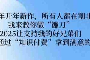 2025年开年新作，所有人都在割韭菜，我来教你做“镰刀” 2025让支持我的好兄弟们都可以通过“知识付费”拿到满意的成绩【揭秘】