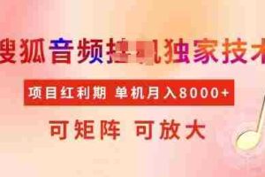 全网首发搜狐音频挂JI独家技术，项目红利期，可矩阵可放大，稳定月入8k【揭秘】
