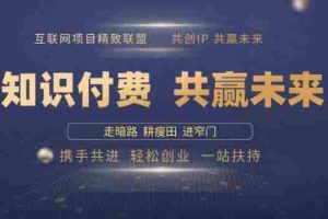 别人苦寻无果，为何他们靠知识付费卖项目 2025 年轻松年入100个?【揭秘】