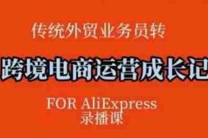 跨境电商速卖通运营课，​运营方法论+后台实操，逻辑清晰