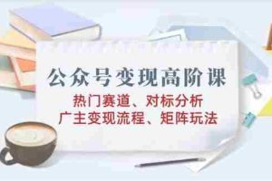 公众号变现高阶课：热门赛道、对标分析、广告主变现流程、矩阵玩法