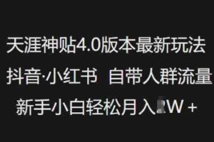 天涯神贴4.0版本最新玩法，抖音·小红书自带人群流量，新手小白轻松月入过W