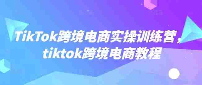 TikTok跨境电商实操训练营,tiktok跨境电商教程