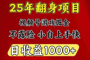 一天收益1000+ 25年开年落地好项目