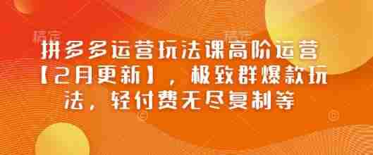 拼多多运营玩法课高阶运营【2月更新】，极致群爆款玩法，轻付费无尽复制等