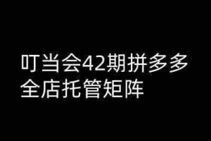 叮当会拼多多打爆班原创高阶技术第42期，拼多多全店托管矩阵