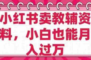 小红书卖教辅资料，0 成本，纯利润，售后成本极低，小白也能月入过W
