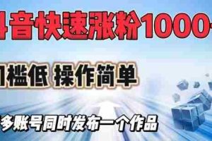 抖音快速涨1000+粉，门槛低操作简单，可多账号同时发布一个作品