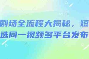 河马剧场全流程大揭秘，短剧爆款精选同一视频多平台发布实操