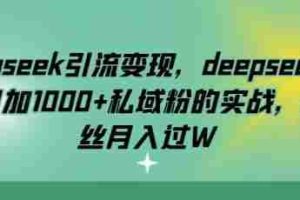 deepseek引流变现，deepseek被动日加1000+私域粉的实战，0粉丝月入过W