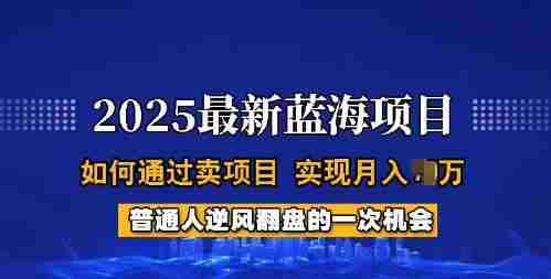 2025蓝海项目,普通人如何通过卖项目,实现月入过W,全过程【揭秘】