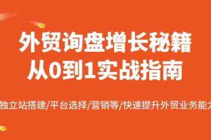 外贸询盘增长秘籍从0到1实战指南，独立站搭建/平台选择/营销等/快速提升外贸业务能力