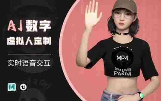 Ai数字人虚拟(智能体)实时语音交互特训营,自行定制超写实角色AI数字人交互技术