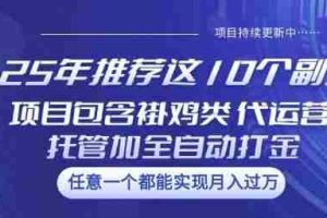 25年推荐这10个副业项目包含褂鸡类、代运营托管类、全自动打金类【揭秘】