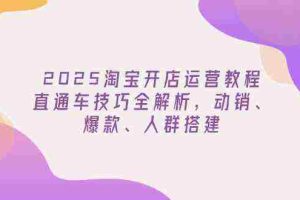 2025淘宝开店运营教程更新，直通车技巧全解析，动销、爆款、人群搭建