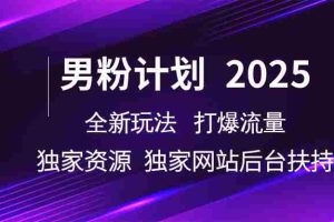 男粉计划2025  全新玩法打爆流量 独立网站 独立资源后台扶持