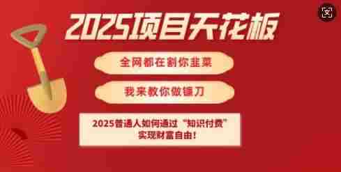 2025项目天花板普通人如何通过知识付费，实现财F自由【揭秘】