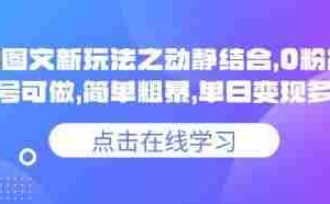 小说推文图文新玩法之动静结合，0粉抖音账号可做，简单粗暴，单日变现多张