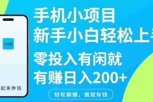 手机小项目新手小白轻松上手零投入有闲就有赚日入200+