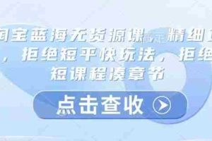 淘宝蓝海无货源课，精细运营，拒绝短平快玩法，拒绝简短课程凑章节