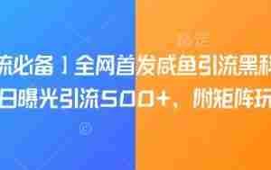【引流必备】全网首发咸鱼引流黑科技，单日曝光引流500+，附矩阵玩法【揭秘】