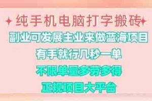纯手机电脑打字搬砖，有手就行，几秒一单，多劳多得，正规项目大平台【揭秘】