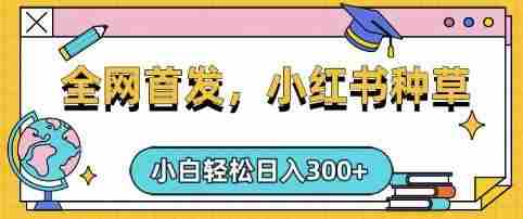 小红书种草，手机项目，日入3张，复制黏贴即可，可矩阵操作，动手不动脑【揭秘】
