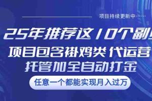 25年推荐这10个副业 项目包含褂鸡类、代运营托管类、全自动打金类