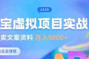 淘宝虚拟项目垂直玩法，新手卖文案资料，月入5k+