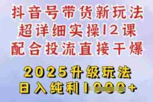 2025全新升级抖音带货玩法，一天纯利四位数，从剪辑到选品再到发布投流，超详细玩法揭秘
