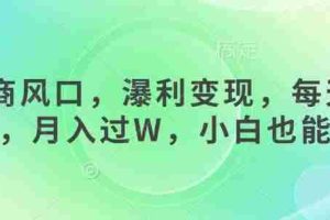 女杏商风口，瀑利变现，每天1小时，月入过W，小白也能做
