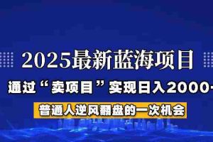 2025年蓝海项目，如何通过“网创项目”日入2000+